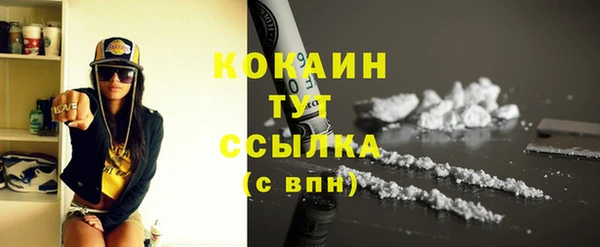 крисы Новодвинск