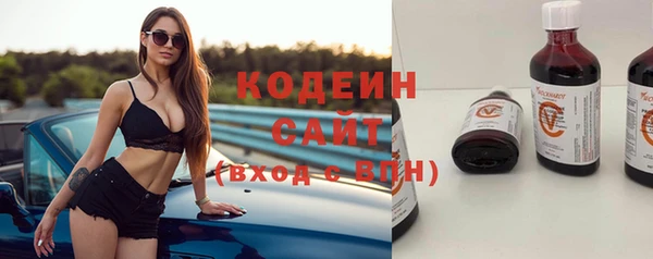 крисы Новодвинск