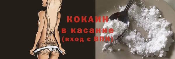 крисы Новодвинск