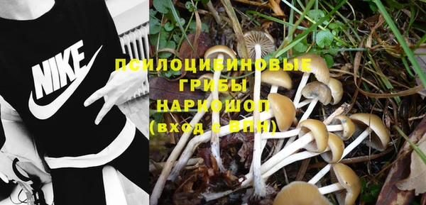 МДМА Новозыбков