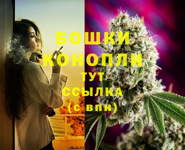МДМА Новозыбков