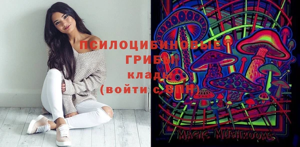 крисы Новодвинск