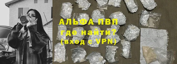 крисы Новодвинск