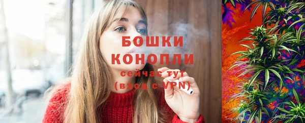 крисы Новодвинск