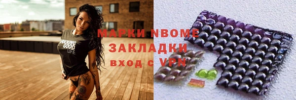 крисы Новодвинск