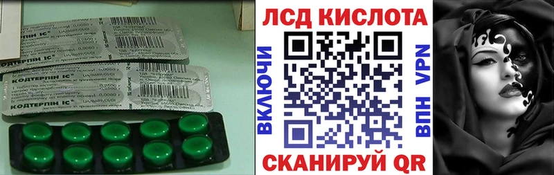 купить закладку  Новотитаровская  Лсд 25 экстази кислота 